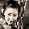 长白山下兰花盛开