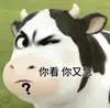 成都WWK竞技场小韦9