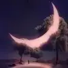 蓝夕夕的王毛毛