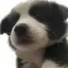 汐宫栞