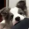 ayeayeaye
