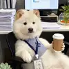 杭州图卢兹市政球场小钟4