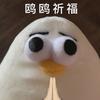 南京罗马奥林匹克球场小林2