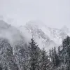 慕尼黑哲哉