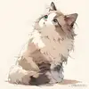 阿凯呢