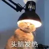 中国FC安道尔小莫