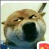当爱已晟往事
