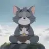 山东切尔西小胡8