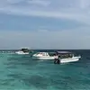 去去去去去也