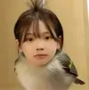 Chengjizhal