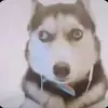球迷8976766