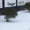 ffzczc