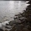 闭嘴1
