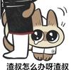 岂渊