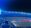 申花foeverblue