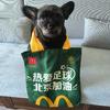 国安锋线姆皇与布欧