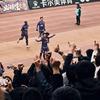 冰城壹块砖