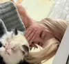 安菲尔德没有海_