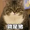 不回信息就是在画速写
