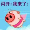 hxcc
