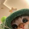 鸭吉吉
