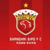上海斯坦福桥球场小叶7