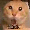 职业吐槽役