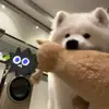 我叫徐坤不姓蔡