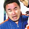 青岛城阳牛