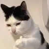 渐渐被你吸引z