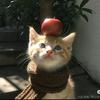 活成一束光
