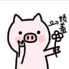 湖北进攻型中场小武7