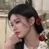 知恩秋天