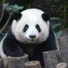 东莞北京工人体育场小高2