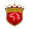 五星泰山橙色风暴