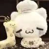 自贡马拉多纳球场小梁