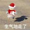 重庆沧州雄狮小付2