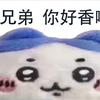 巴萨10号鸟萨奇