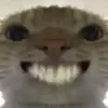 钧啊