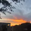 CR7--7--