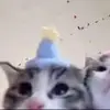 道二一姬