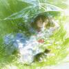 Heja-支云