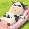清风赏明月