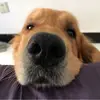 秦皇岛边锋小覃7