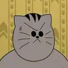 坏猫胖