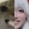 哈喽罗