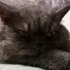 不知道啊看乐子来了