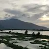 六一儿童节隔壁