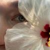 Vanse-
