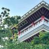 buli老师